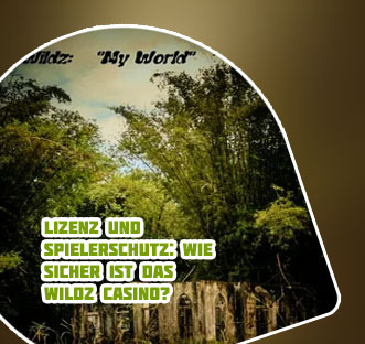 Beste spiele wildz
